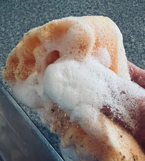  close-up of a hand holding a porous sponge covered in thick white suds against a speckled gray countertop.