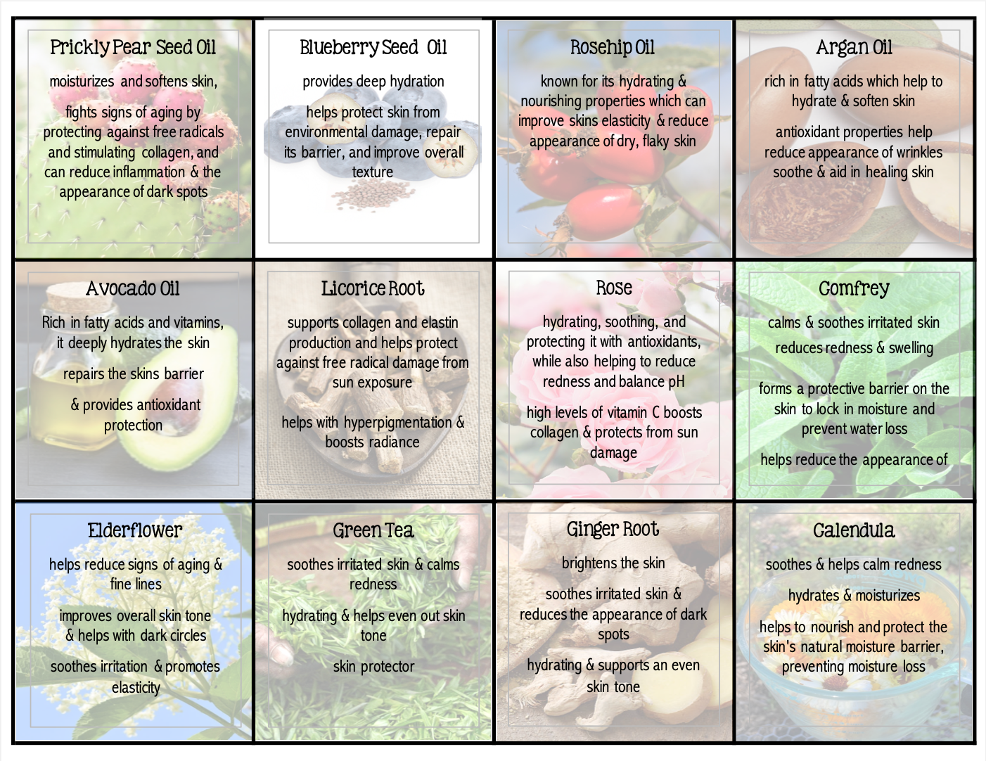 A 12-panel grid showing skincare oil and serum ingredients, including Prickly Pear Seed Oil, Blueberry Seed Oil, Rosehip Oil, Argan Oil, Avocado Oil, Licorice Root, Rose, Comfrey, Elderflower, Green Tea, Ginger Root, and Calendula. Each panel features a photo of the ingredient with a description of each oil's benefits.